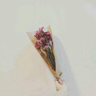 暴走小鹿完整版下载