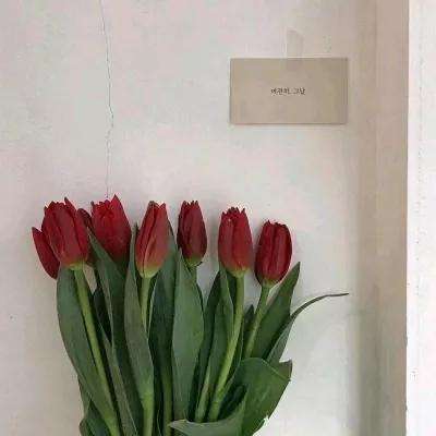 突击莉莉手游下载
